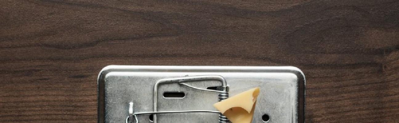 What is a baiting attack, and how to prevent it?