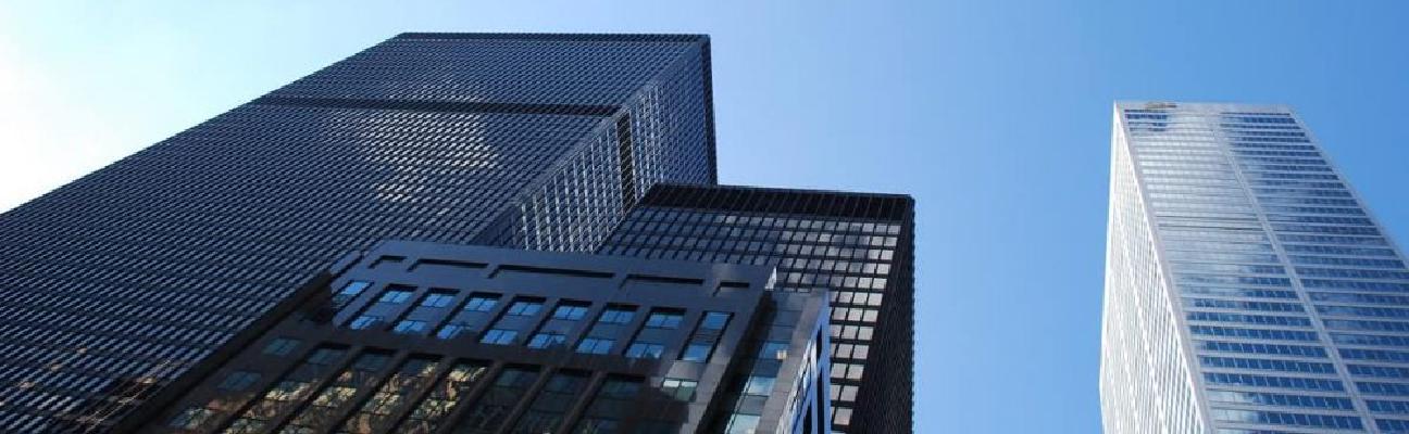 What is Password Management and Why it is Important for Business?