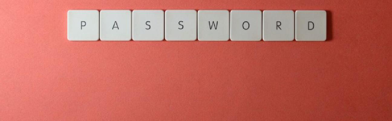 What Is Password Vaulting and What Are Its Benefits?